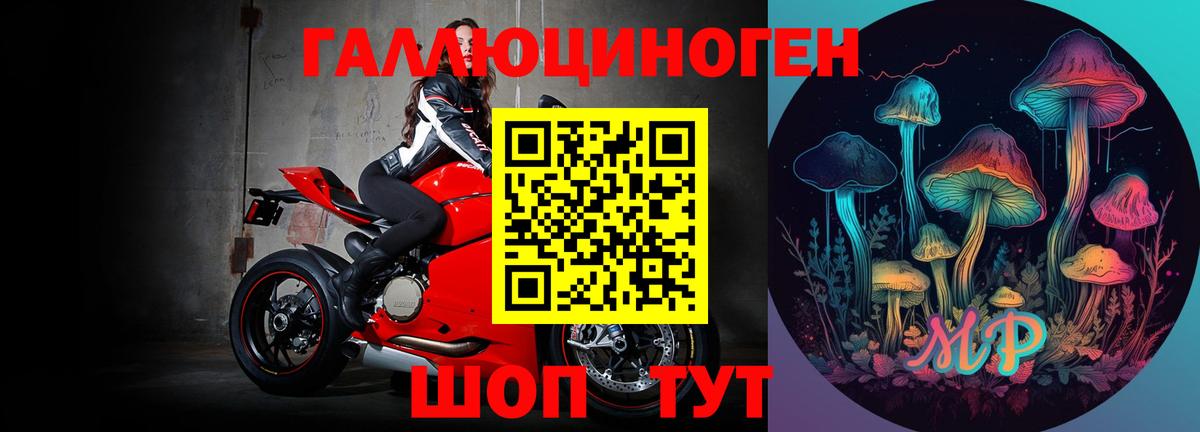 Псилоцибиновые грибы мицелий Мытищи