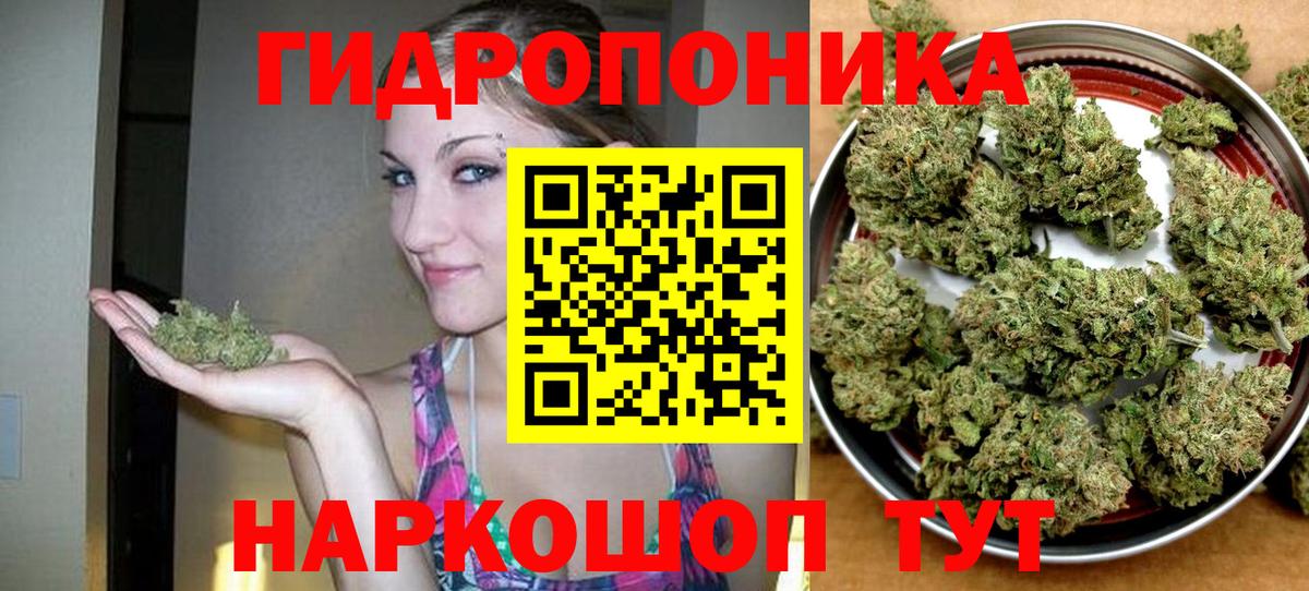 Бошки марихуана Amnesia  Вход с VPN  Мытищи  Конопля тримм 